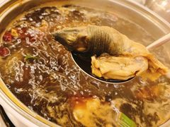 -甲鱼火锅(北村小区店)