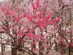 -尚贤河湿地