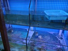 -面道赞宁海海鲜面(迎凤街店)