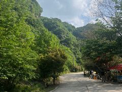 -西安祥峪森林公园