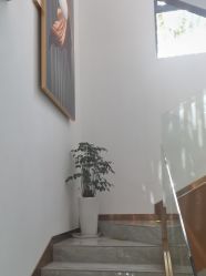 -漂亮妈妈通乳·塑形·产后恢复(奥体店)