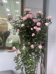 -悦颜美佳·美容·美甲美睫