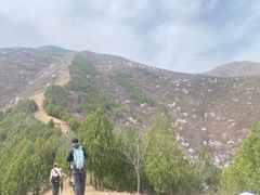 -妙峰山风景名胜区