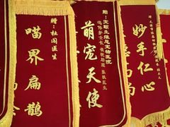 -美联众合动物医院(唯恩分院)