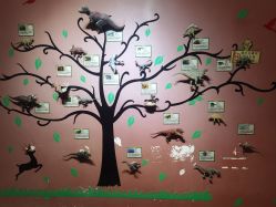 -酷嗒动物文化乐园(cutezoo西溪乐天城店)