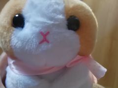 -大玩家(万达广场大连甘井子店)