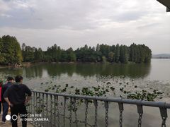 -东湖落雁景区