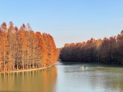 -上海海湾国家森林公园