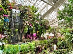 -正佳雨林生态植物园