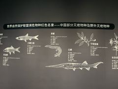 -中国湿地博物馆