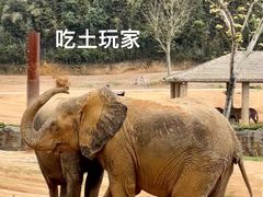 -杭州野生动物世界
