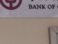 -中国银行(上海市东昌路支行)