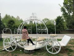 披萨-东方苑自助餐厅(稻香湖景酒店)