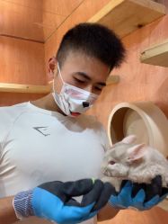 -神奇动物撸宠馆·羊驼·小浣熊·异宠(豫园店)