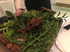 -蝶舍·MAISON PAPILLON