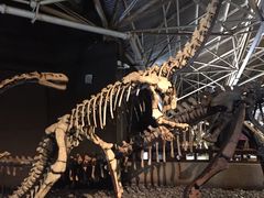 -世界恐龙谷景区