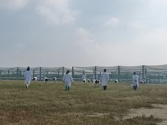 -盐城丹顶鹤湿地生态旅游区