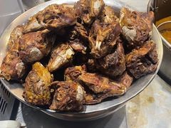 -老号尤兔头(幸福店)