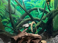 -上海海洋水族馆