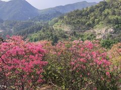 -木兰云雾山