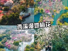 -西溪国家湿地公园