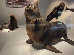 -深海中餐厅(国家海洋博物馆店)