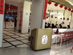 -南枝记