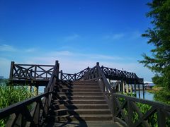 -高子水居