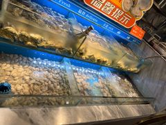 -欢乐牧场主题自助料理(T12店)