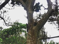 景点-鹅銮鼻公园