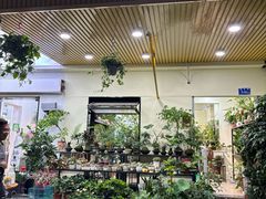 -溪岸路花鸟市场