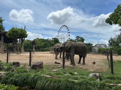 -上海野生动物园