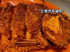 -阿五黄河大鲤鱼(纬三路店)