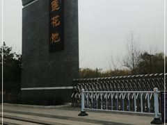 -莲花池公园