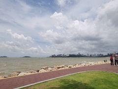 -野狸岛