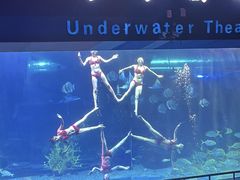 -泉城欧乐堡海洋极地世界