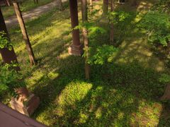 -黄海国家森林公园