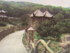 -龙寺生态园