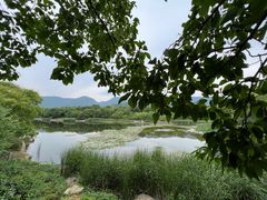 -国家植物园