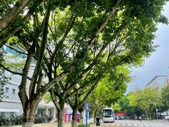 -西南政法大学(渝北校区)