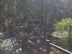 iphone_upload_pic-天明山温泉大酒店