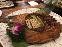 -紫滇源云南生态菜(丹凤街店)