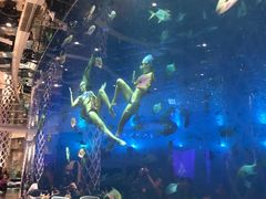 -瑞德姆美人鱼海底演艺主题餐厅(亚龙湾店)