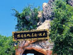 -大槐树寻根祭祖园