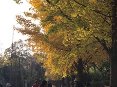 -北京麋鹿生态实验中心