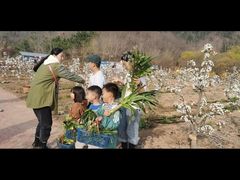 -百果山乐享果玩
