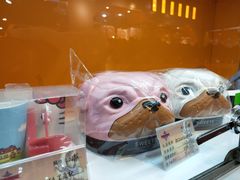 -城市动力(弘桥商城店)