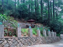 -莫干山风景区