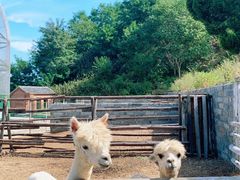 -清风小镇闯关东影视基地