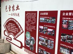 -乐氏荤豆花